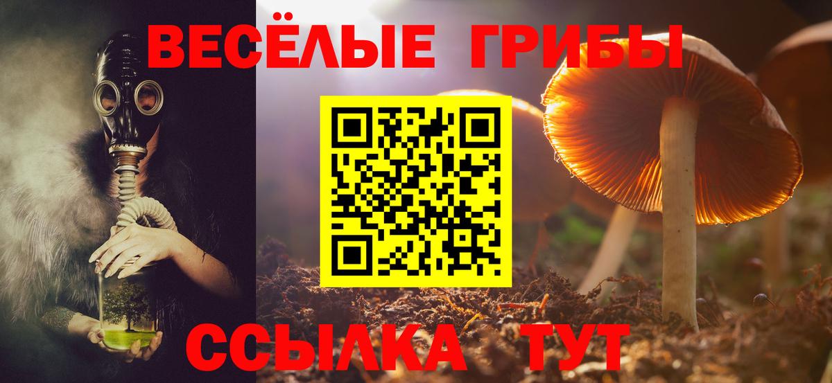 Галлюциногенные грибы мицелий Владивосток