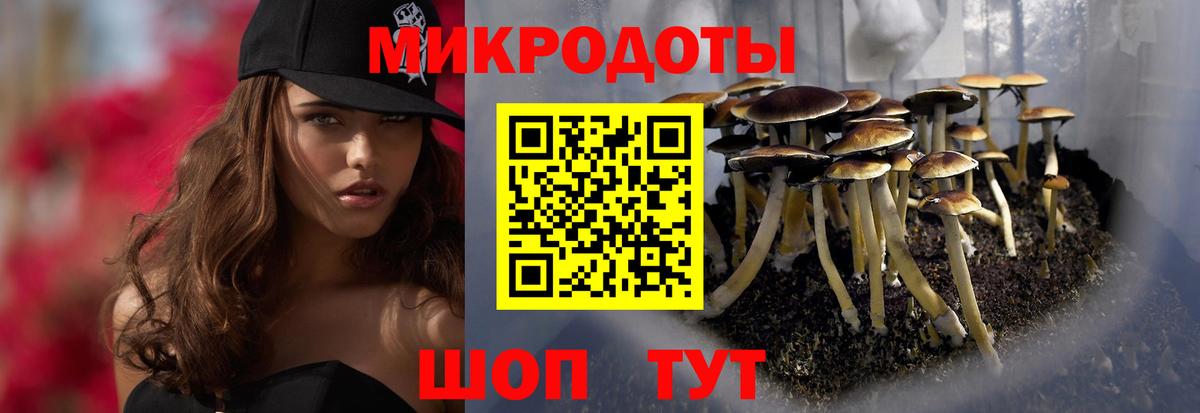 Галлюциногенные грибы ЛСД  Псилоцибиновые грибы GOLDEN TEACHER  Вход с VPN  Владивосток 